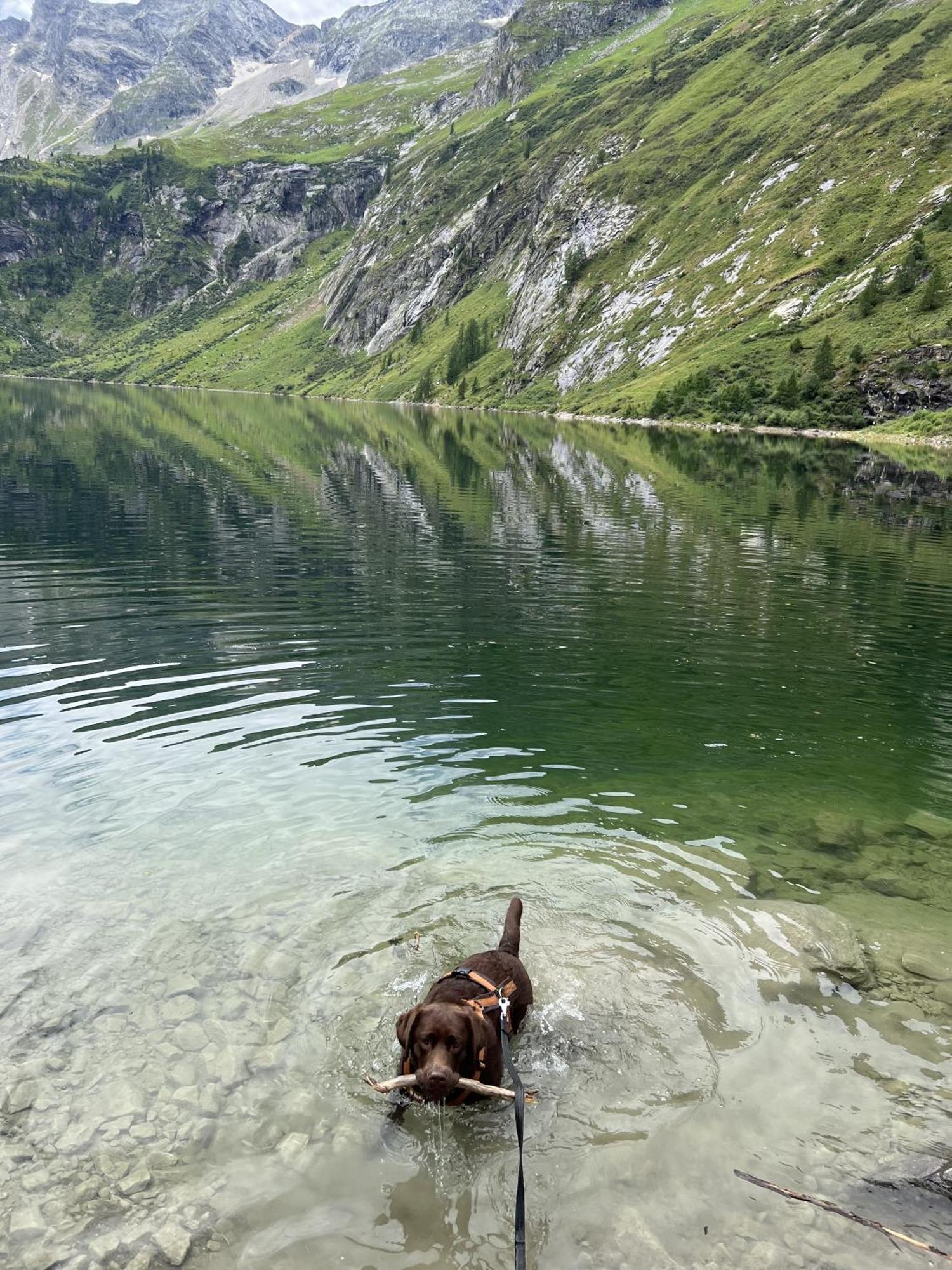 Haus Sonnenweg Villa Mariapfarr Bagian luar foto